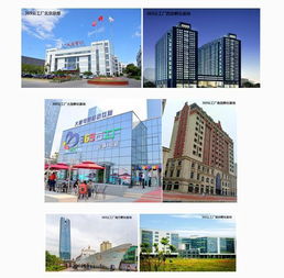 大唐網絡369云工廠運營公司成立，實業運營與建設雙輪驅動區域孵化基地全面升級